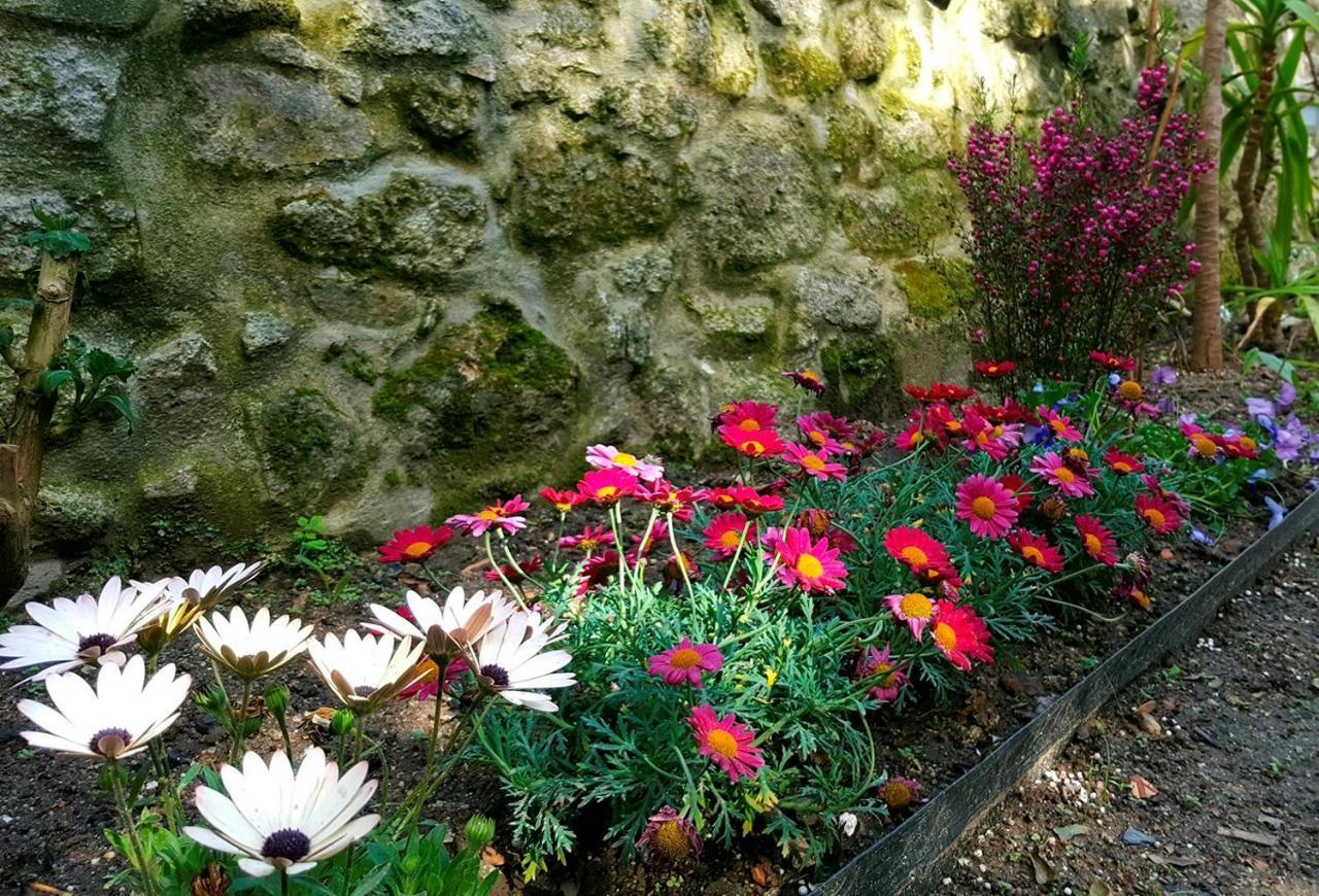 Boavista Charming Apartment With Garden By Great&Cosy Porto Luaran gambar